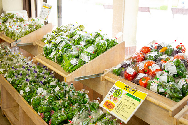 しあわせマルシェ/しあわせの村（兵庫県/神戸市）