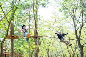 しあわせの村（神戸）で子どもとアスレチック！バーベキューや日帰り温泉も人気