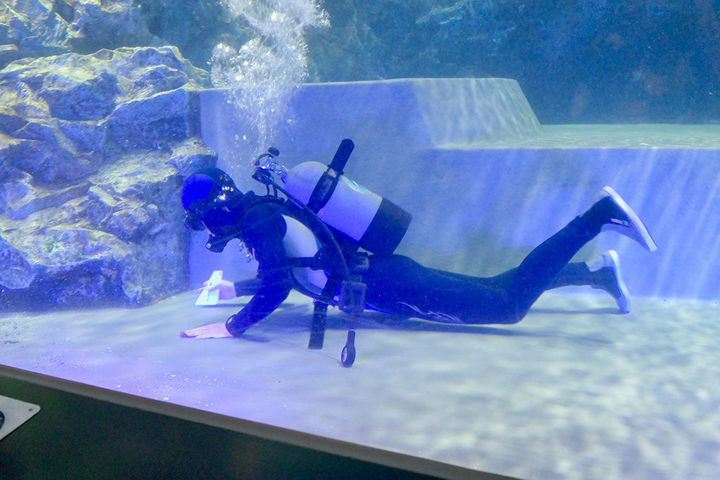 ペンギンプールを掃除する様子/すみだ水族館（東京都/墨田区）