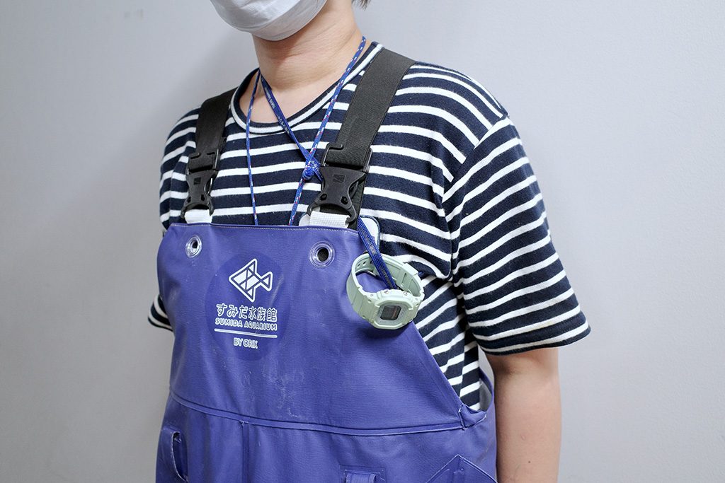 ペンギンの怪我防止のため、時計を胸元につけている/すみだ水族館（東京都/墨田区）