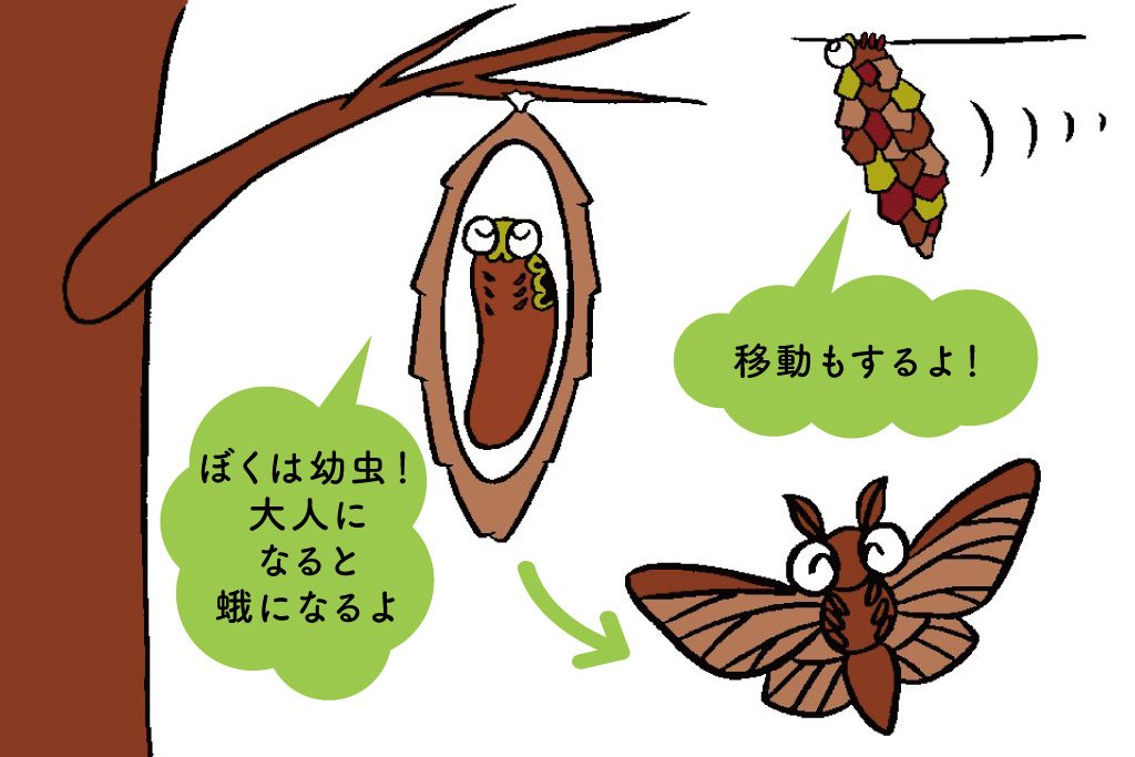 ミノムシの正体イラスト