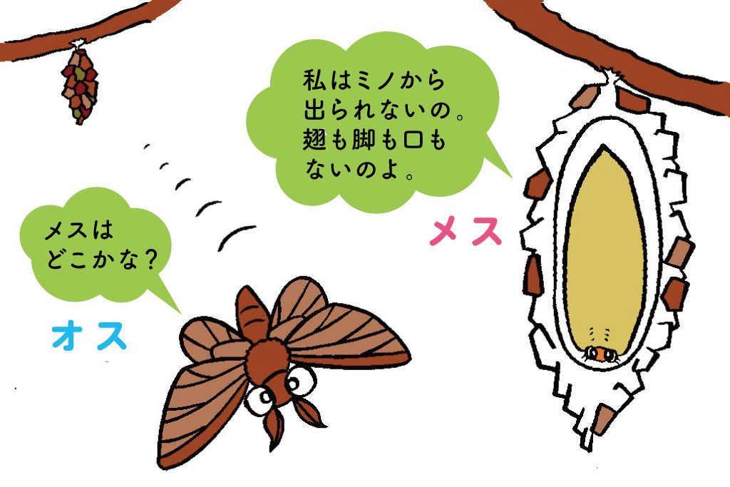 ミノムシのイラスト