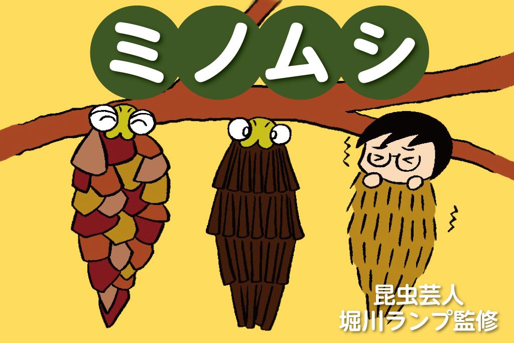 ミノムシ　昆虫芸人　堀川ランプ監修