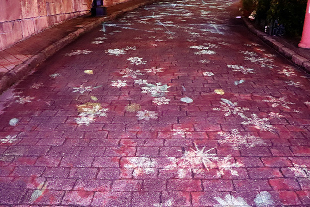 イルミネーション「フェスタ・ルーチェ」Flower Shower Carpet/ポルトヨーロッパ(和歌山県/和歌山市)