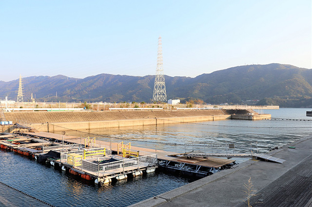 日本一の大きさの海洋釣り堀/和歌山マリーナシティ海釣り公園・海洋釣り堀(和歌山県/和歌山市)