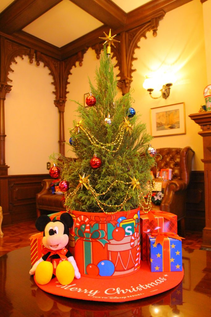 予約販売の生木を使ったミニクリスマスツリー