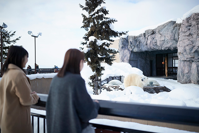 旭山動物園 無料送迎バス(OMO7旭川 by 星野リゾート)