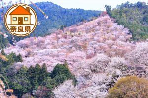 奈良県の移住情報まとめ　子育て世代に有益な制度や補助金、市町村別サイトの紹介など