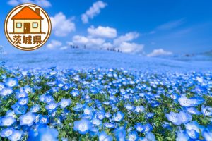 茨城県の移住情報まとめ　子育て世代に有益な制度や補助金、市町村別サイトの紹介など