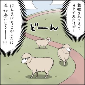 放牧されたひつじと触れ合える幸せ！｜3歳とおでかけ in 六甲山牧場①