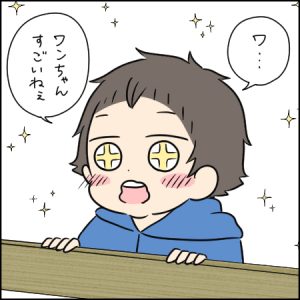 かわいくてエンターテインメント性抜群のシープドッグショー｜3歳とおでかけ in 六甲山牧場⑤