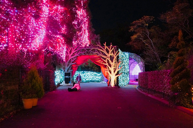 木のアーチ/ネスタリゾート神戸（兵庫県/三木市）
