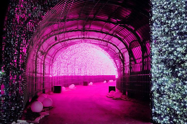 全長220mのトンネル/ネスタリゾート神戸（兵庫県/三木市）