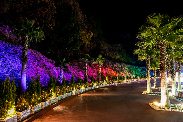 ダンシングウォール/ネスタリゾート神戸（兵庫県/三木市）
