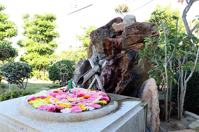 花手水/三段壁(和歌山県/白浜町)