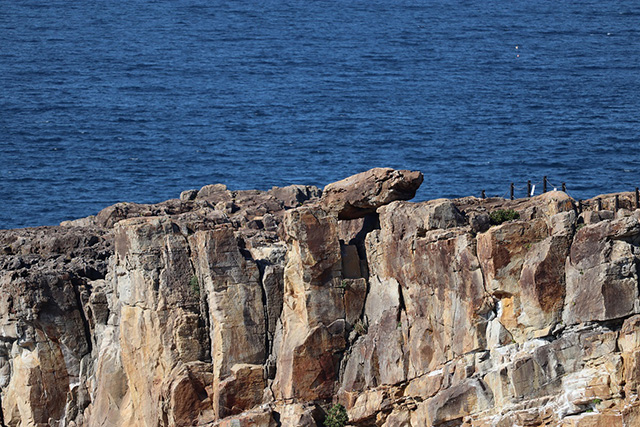 突然(sudden)三段壁に現れた岩/三段壁(和歌山県/白浜町)