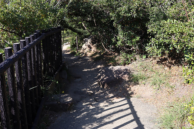 三段壁洞窟横の遊歩道(和歌山県/白浜町)