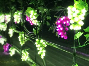 新宿から約90分!スイーツ、温泉、イルミが楽しめる山梨県笛吹市・石和温泉(いさわおんせん)で1日大満足