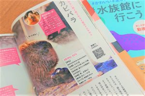 動物園と水族館の人気者が大集合!新感覚のビジュアルガイド『#かわいい#楽しい#癒し #動物園に行こう』『#かわいい#楽しい#癒し #水族館に行こう』発売中