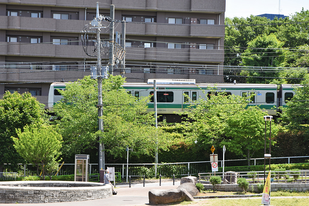 「電車ビュー」／清水坂公園（東京都／北区）