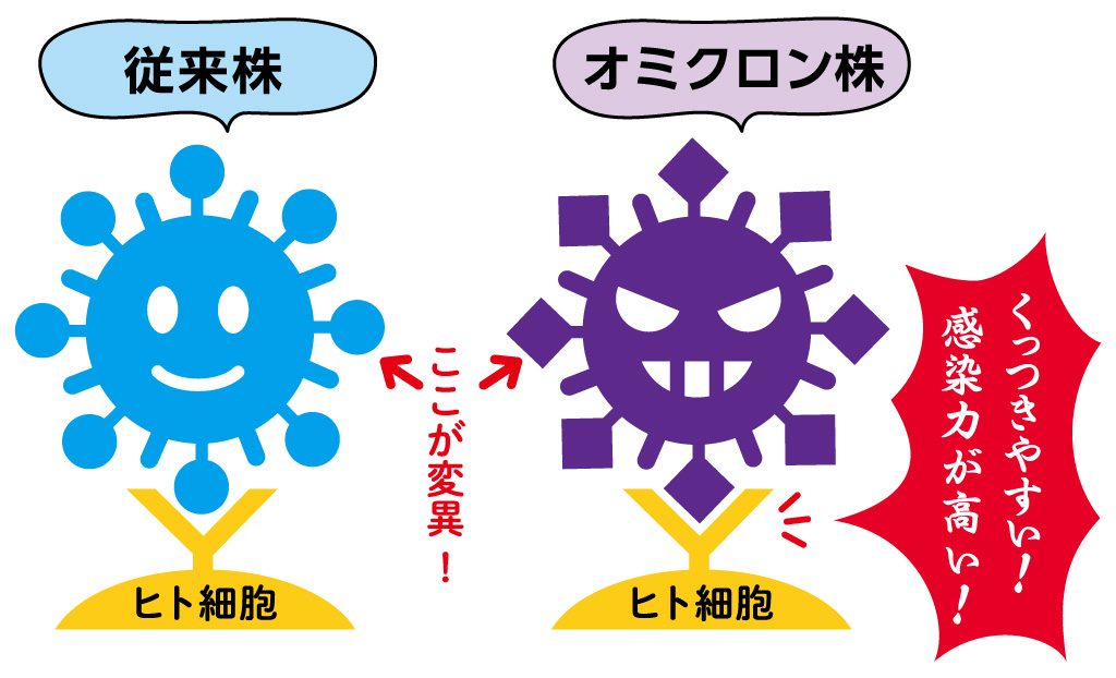 新型コロナ：従来株とオミクロン株の違い