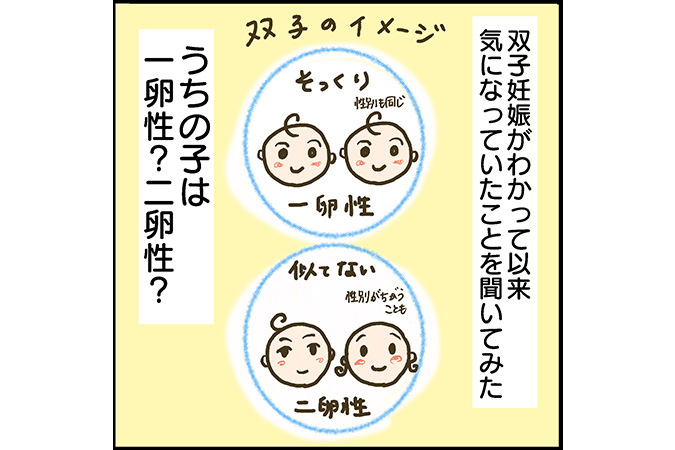 #4 一卵性か二卵性かいつ分かる？重要なのはリスクに関わる膜性 [双子妊娠漫画]