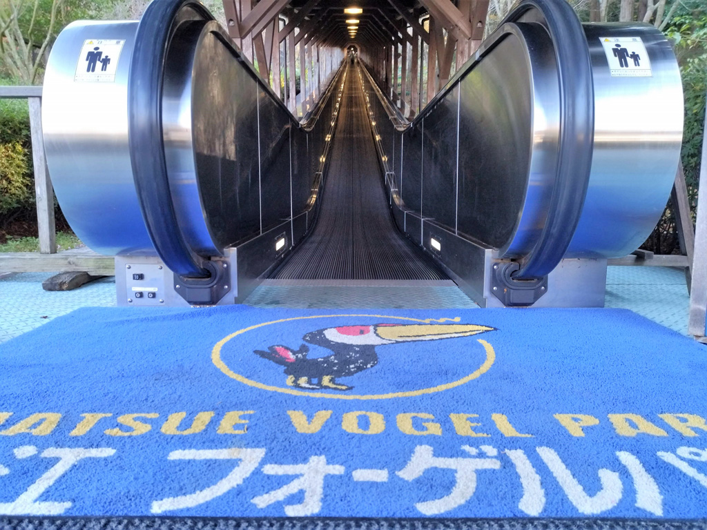 全長約140mもある動く歩道/松江フォーゲルパーク(島根県)