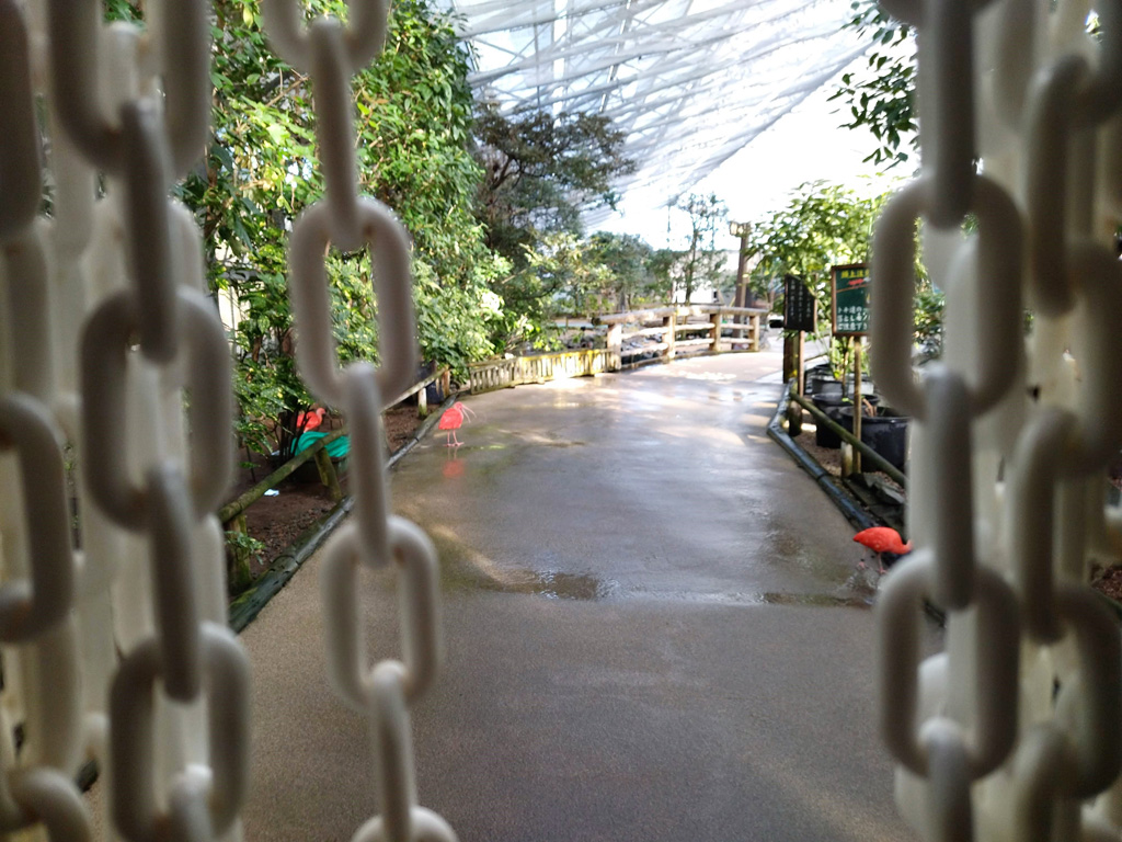 水鳥温室・ウォーターフォールエイビアリー/松江フォーゲルパーク(島根県)