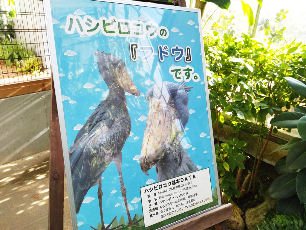 ハシビロコウの看板/松江フォーゲルパーク(島根県)