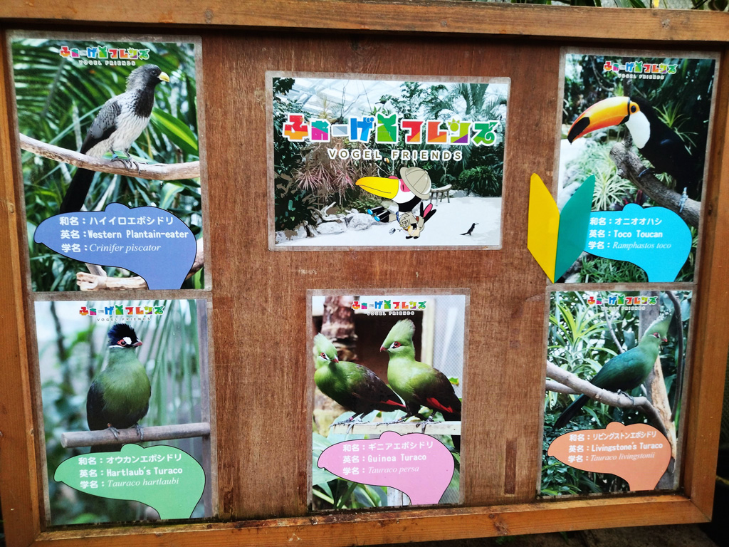 ふれあい温室・パラダイスホール/松江フォーゲルパーク(島根県)