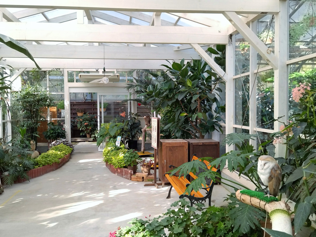 センターハウスのふくろうハウス/松江フォーゲルパーク(島根県)