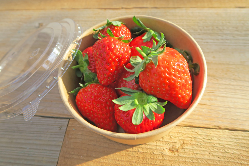 いちごは丸い箱（専用BOX）に/京成バラ園のいちご狩り施設（千葉県八千代市）