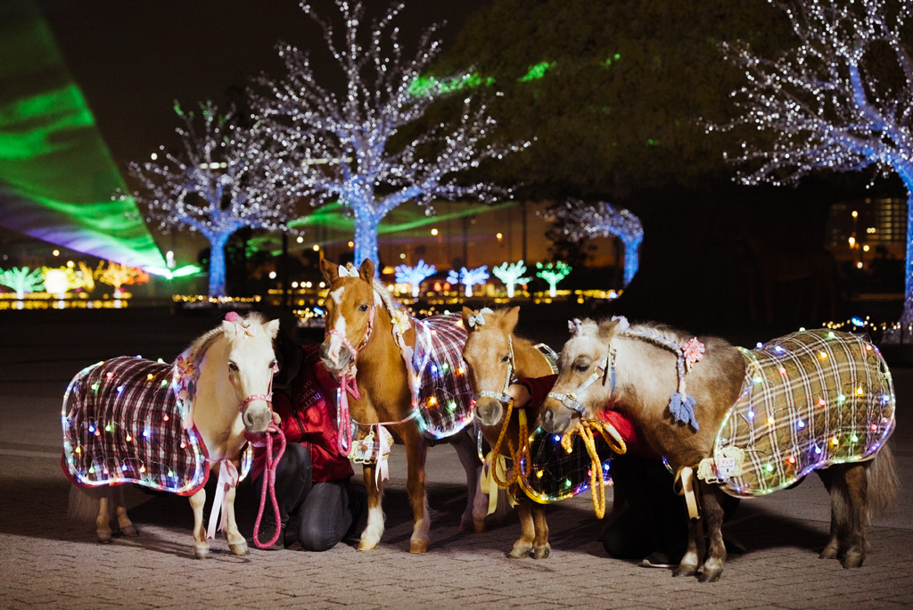 ミニチュアホースやポニーなどと一緒に写真撮影できるイベント/東京メガイルミ(東京都/品川区)