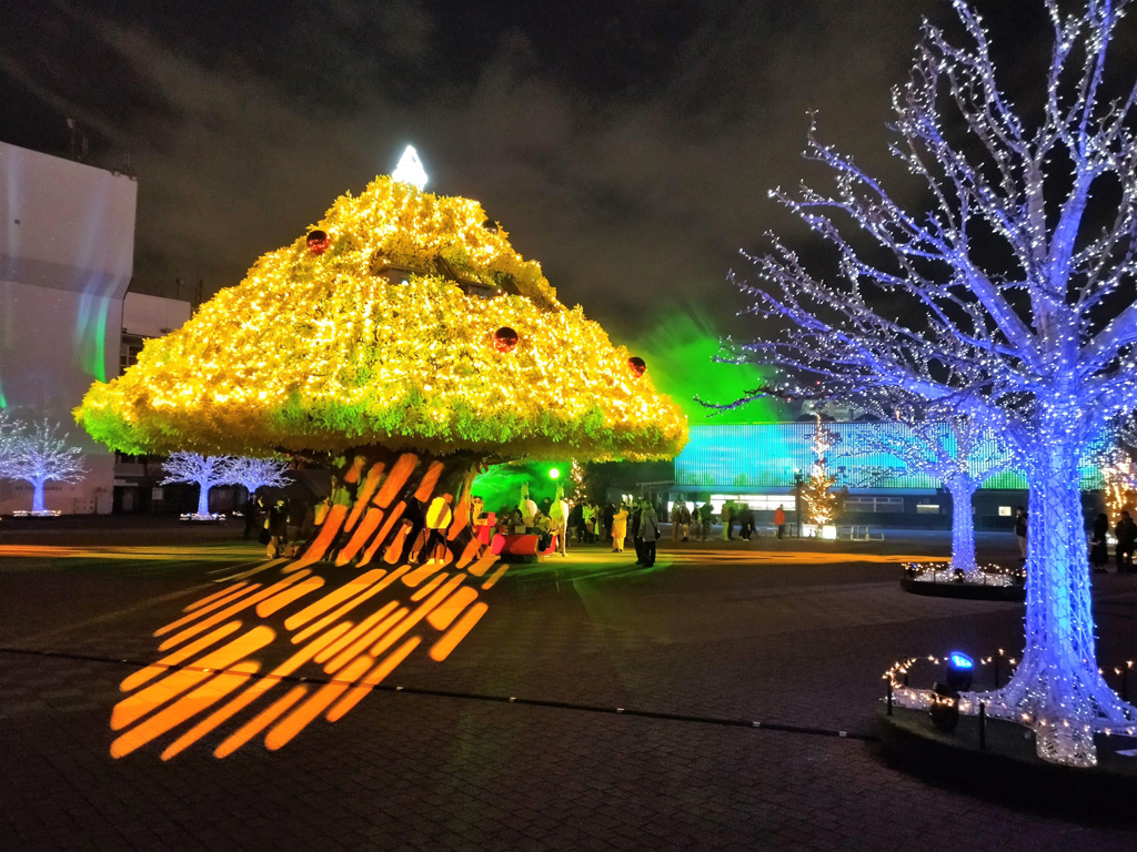 東京メガイルミ(東京都/品川区)