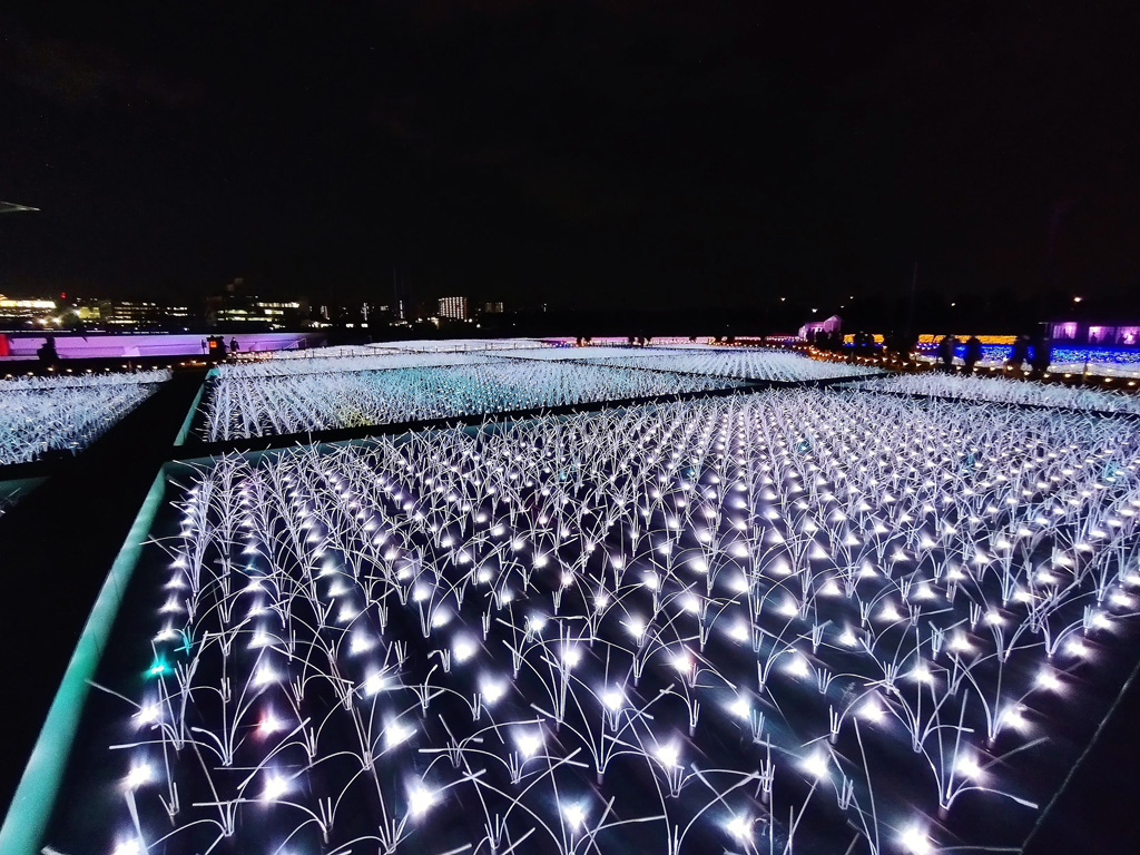 水田風景を思わす光のグラデーション/東京メガイルミ(東京都/品川区)