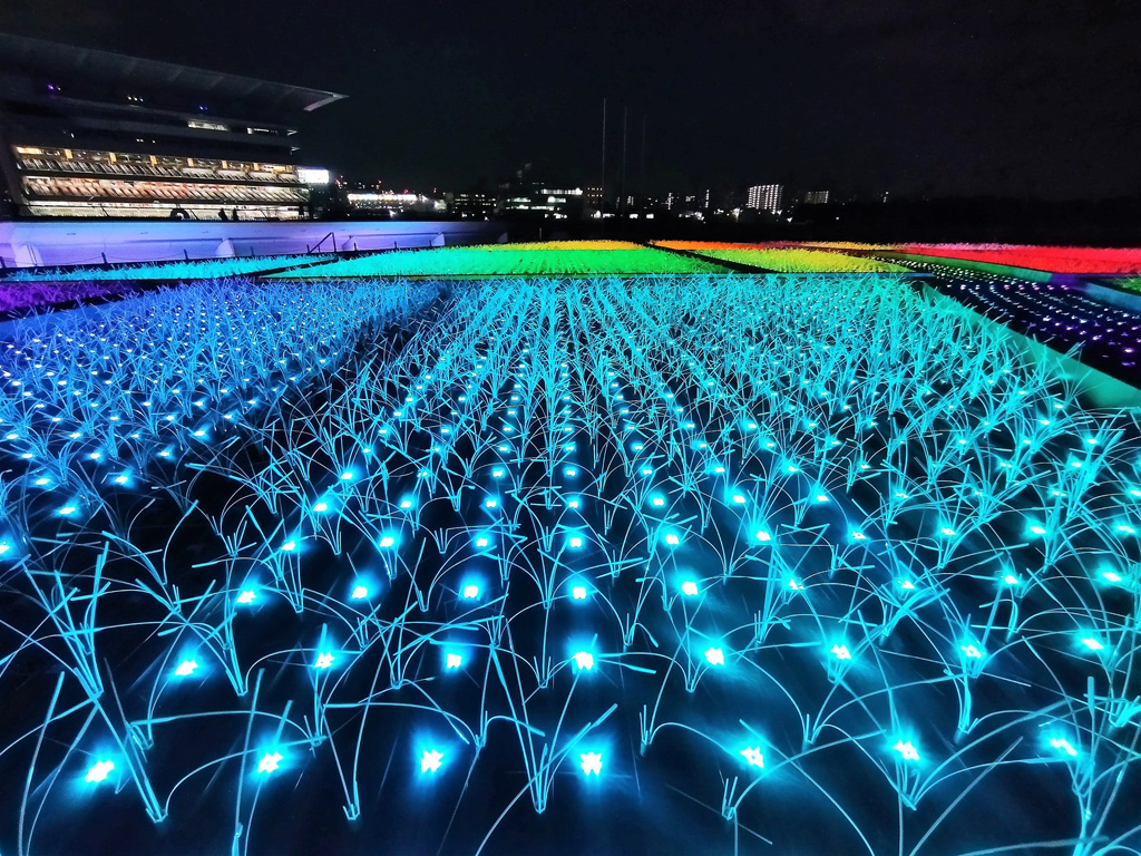 日本原風景/東京メガイルミ(東京都/品川区)