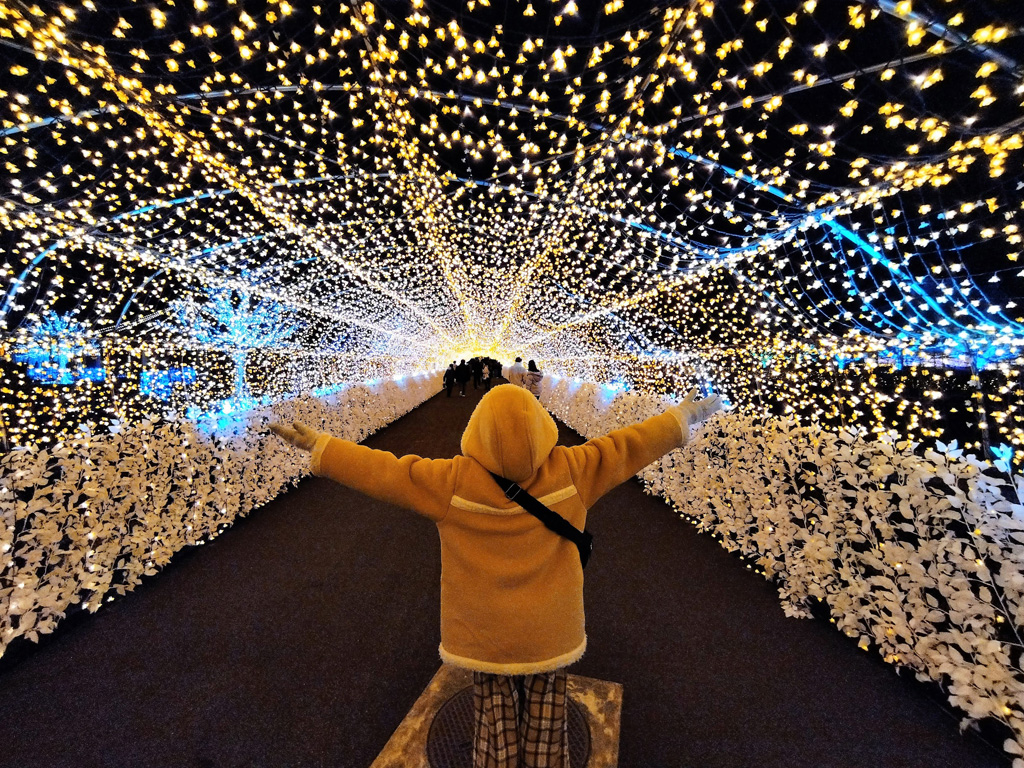 全長100mの「江戸桜トンネル」/東京メガイルミ(東京都/品川区)