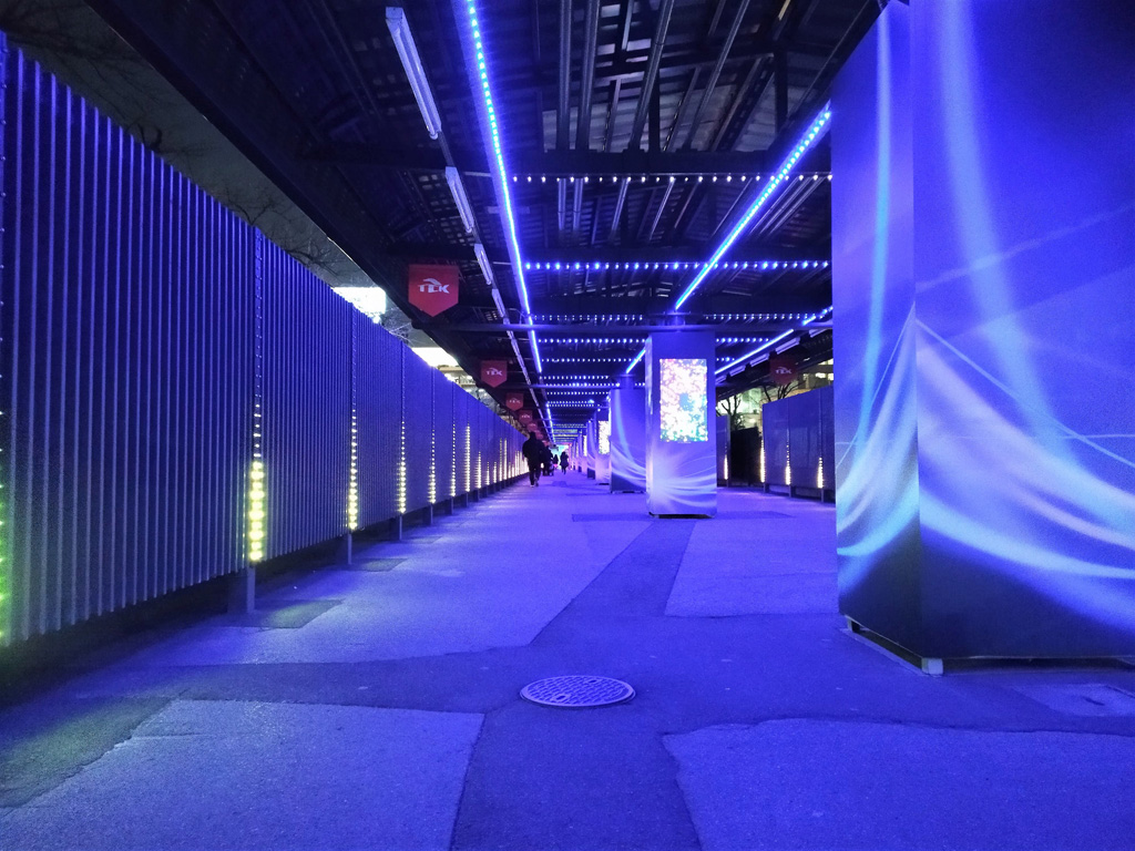 東京メガイルミ(東京都/品川区)