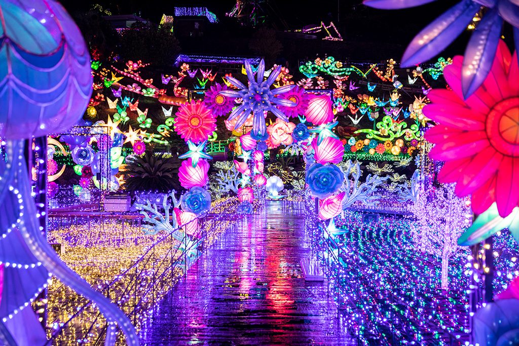 伊豆グランイルミ～7thシーズン～の新エリアはイルミネーションの上を歩いて体感！