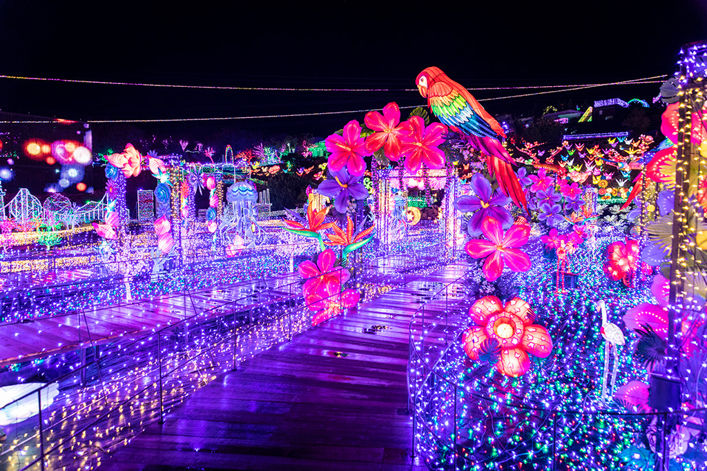 ウォークオンザイルミ／伊豆高原グランイルミ（静岡県／伊東市）