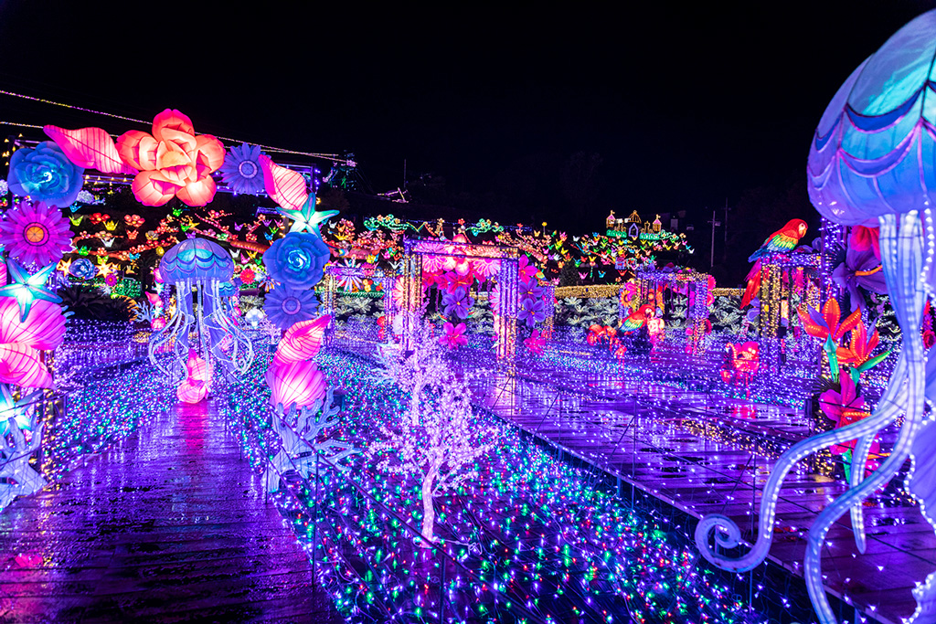 ウォークオンザイルミ／伊豆高原グランイルミ（静岡県／伊東市）