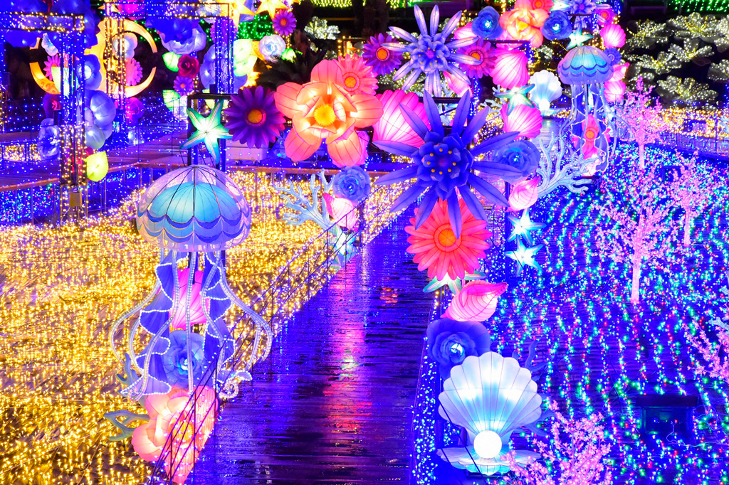 ウォークオンザイルミ／伊豆高原グランイルミ（静岡県／伊東市）