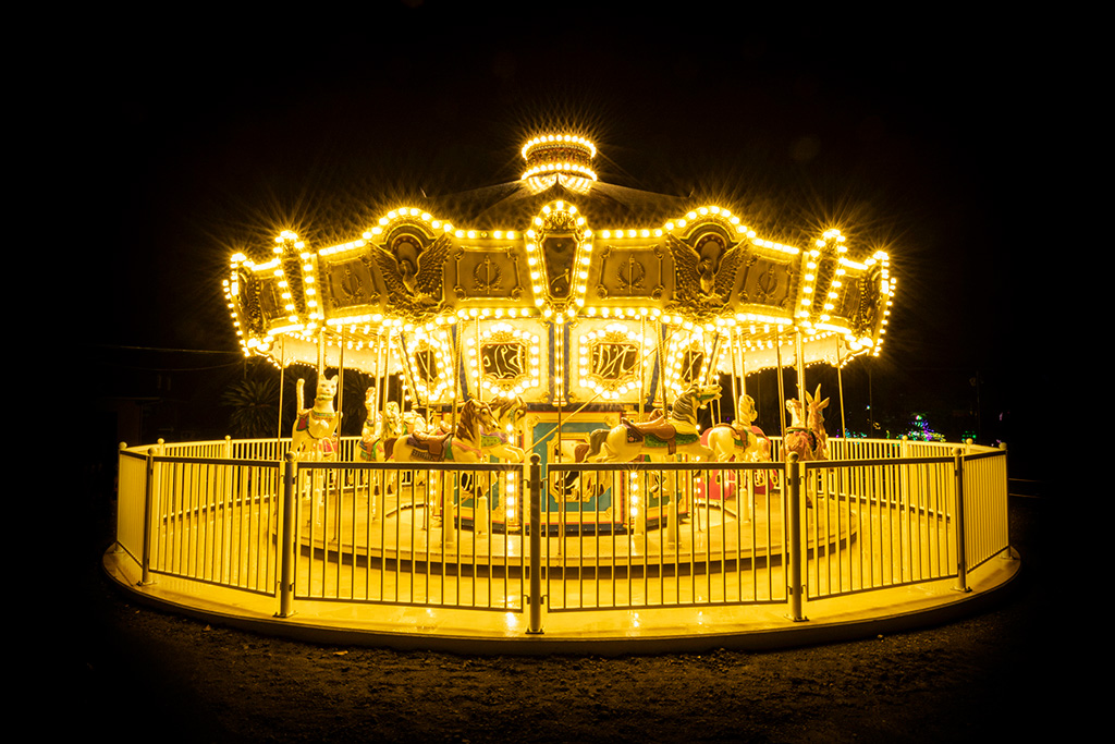 メリーゴーランド／伊豆高原グランイルミ（静岡県／伊東市）