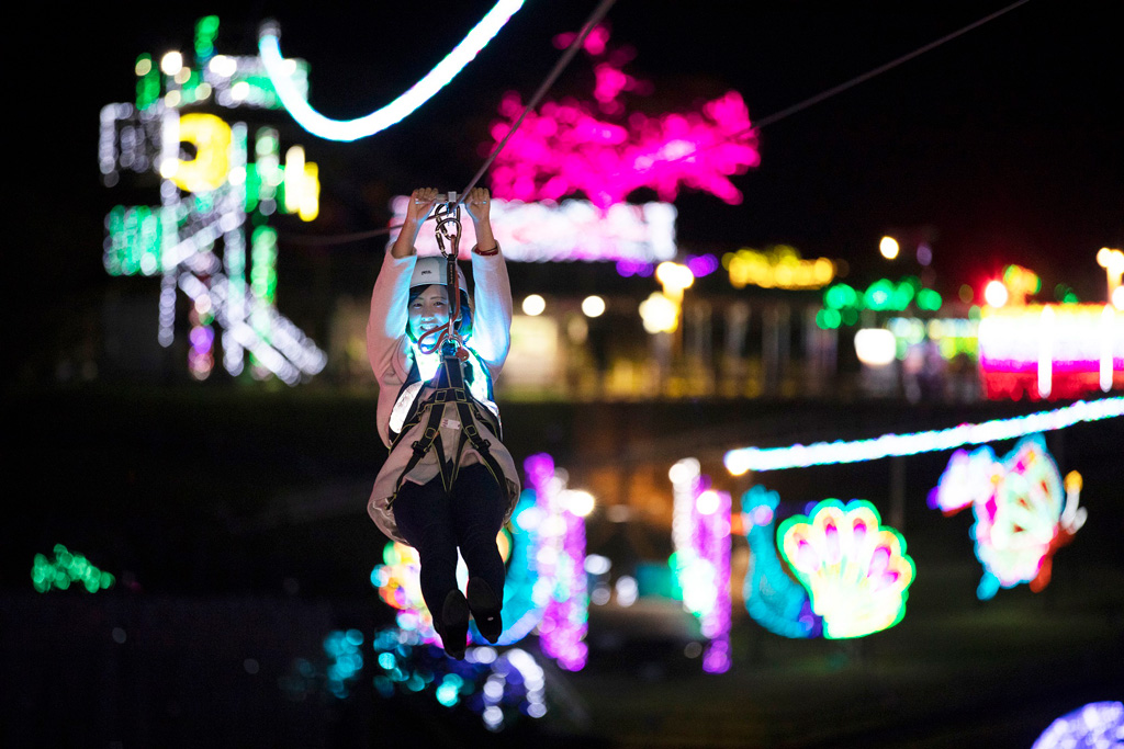 ジップライン～流星RYUSEI～／伊豆高原グランイルミ（静岡県／伊東市）