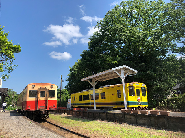 いすみ鉄道と小湊鐵道の車両が並ぶ（千葉県/大多喜町）
