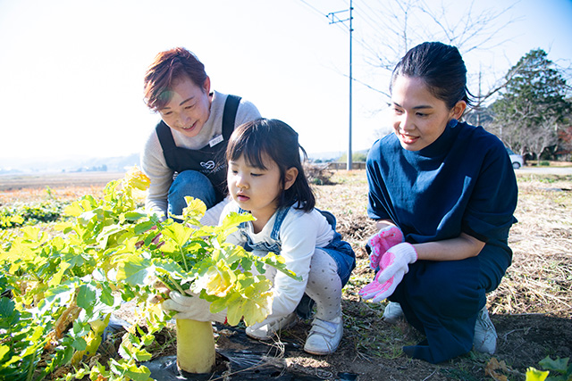 まるがやつファームで収穫体験（千葉県/大多喜町）