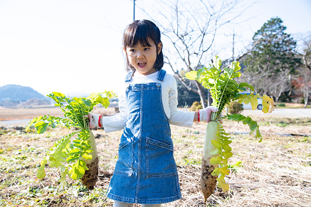 まるがやつファームで収穫体験（千葉県/大多喜町）