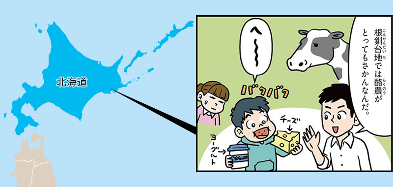 北海道の特徴/根釧台地では酪農が盛んなんだ