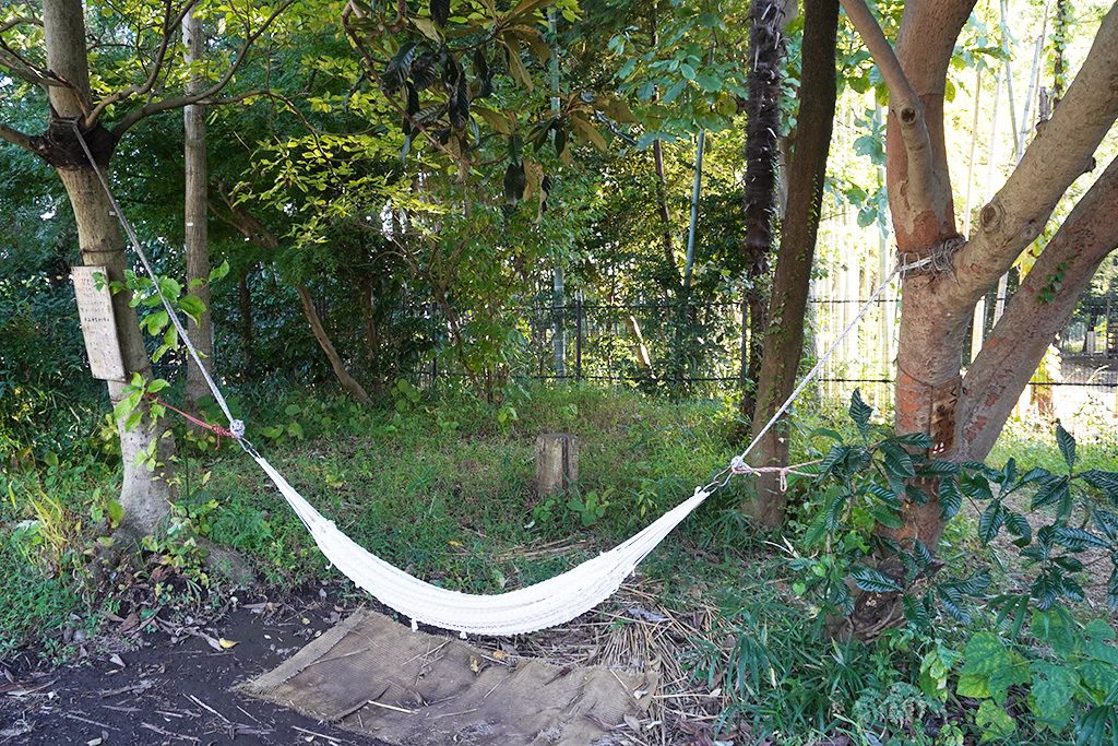 緑の中のハンモック/三鷹市星と森と絵本の家（東京都/三鷹市）