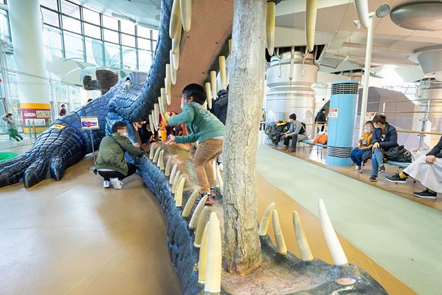 マチカネワニの大型遊具/堺市立ビッグバン(大阪府)